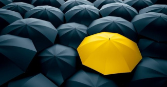 Практики diversity & inclusion (D&I) как драйвер трансформации корпоративной культуры