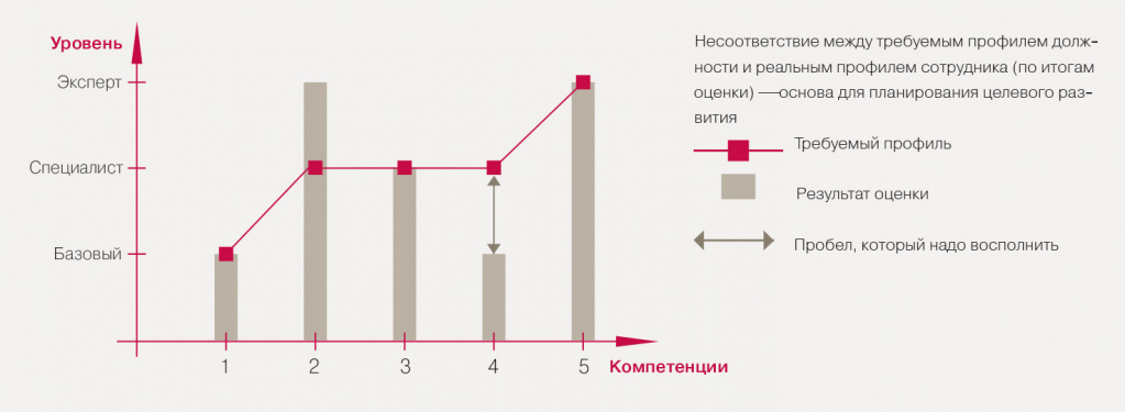 профессиональная компетенция в свою очередь выстроена по формуле знания умения навыки