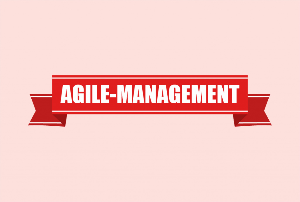 Agile management